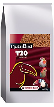 Nobby 20231