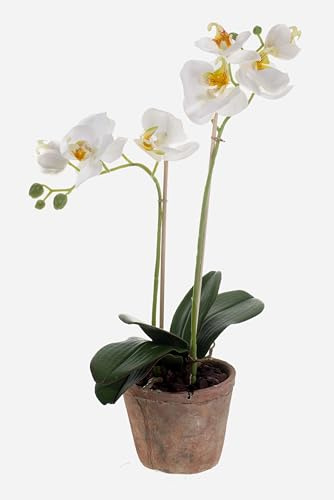 artplants.de Künstliche Phalaenopsis Orchidee MINA im Topf, 2 Zweige, weiß, 45cm - Deko Kunstblume