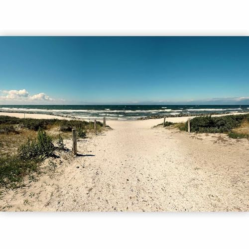 murando - Fototapete Vlies Strand und Meer, 350x256 cm, Schlafzimmer | Full HD Druck, 3D-Effekt, lichtbeständige Farben, ideal fürs Wohn- oder Schlafzimmer, schnelle Montage, lichtbeständig, edel