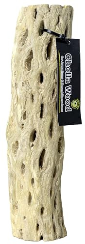 Galápagos (05271) Cholla Wood - Natural Aquarium & Terrarium Decoration for Fish Tanks, Reptile Tanks, and Bird Perches, 12”, Natural