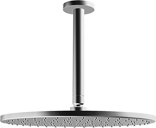 Hansa 44270300 Hansaviva Kopfbrause, Silber