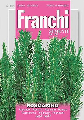SEMI DI ROSMARINO ORTO GIARDINO