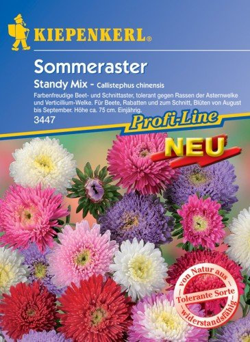 Sperli Blumensamen Sommeraster Standy Mix, grün