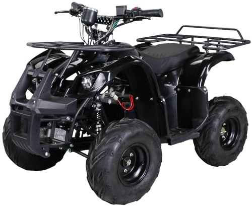 Actionbikes Motors Kinder Quad Elektro ATV S-8 Farmer (Schwarz)