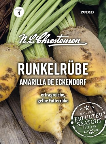 Runkelrübe 'Eckdogelb' gelb, wertvolle und leistungsstarke Futterpflanze , Futterrübe