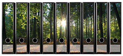 codiarts. Ordnerrücken selbstklebend | Etiketten Set für 9 breite Ordner | gestantzt mit Griffloch | Rückenschild breit | Sonne Waldlichtung Natur Sonnenuntergang
