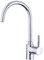 Teka 239151200 Chromed Kitchen Sink Tap with Fixed Spout from ARK 915 - Grey
