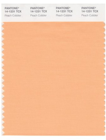 PANTONE Smart 14-1231X Color Swatch Card, Peach Cobbler
