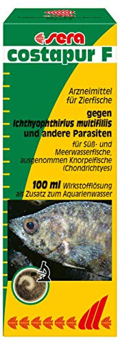 sera costapur F 100 ml - Arzneimittel für Fische gegen Ichthyophthirius multifiliis und andere einzellige Hautparasiten, Medizin fürs Aquarium