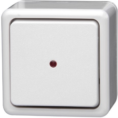 Kopp 514602006 Kontrollschalter Aufputzprogramm Standrad, 10 A, 250 V