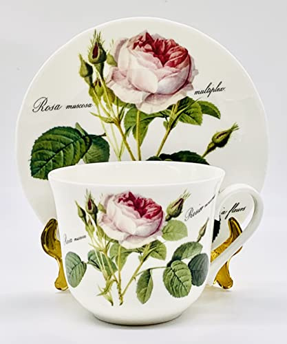 Roy Kirkham Redoute Rose Frühstückstasse und Untertasse