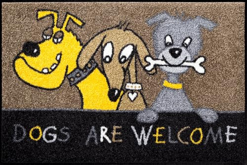 Salonloewe Fussmatte Dogs Are Welcome I Schmutzfangmatte & Fußabtreter für Innen 50 x 75 cm