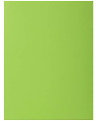 Exacompta 30er-Pack Einlegemappen Rocks 80 g/m2 grün