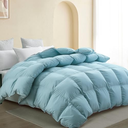 SNOWMAN Premium Down Comforter Queen Size, Blue Duvet Insert All Season