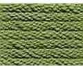 Anchor Sticktwist 1x Farbe 266 - olivgrün