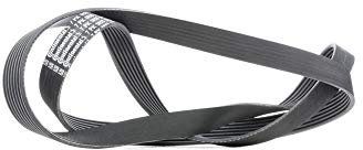 CONTITECH 7PK1855 Keilrippenriemen