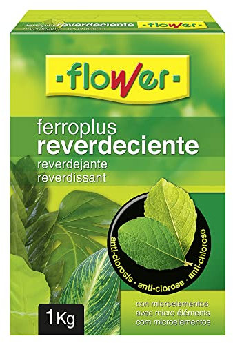 Flower 15503 – Eisendünger für grüne Pflanzen, 1 kg