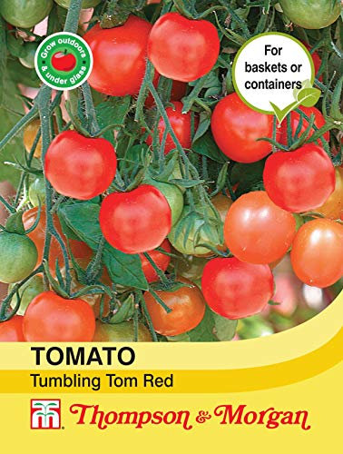 Thompson & Morgan - Vegetables - Tomato Tumbling Tom Red - 15 Seed