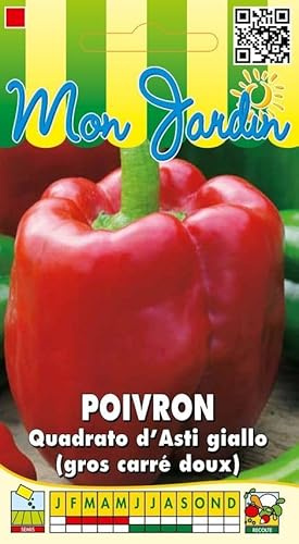 Sachet de graines de Poivron Quadrato d'asti Giallo (poivron gros carré doux) - 3 g - légume fruit - LES GRAINES BOCQUET