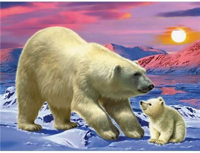 Ravensburger - Die Welt der Eisbren, 250 Teile, Junior Flokati Line (Puzzle)