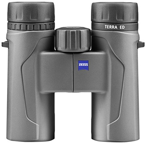 Zeiss Terra Ed Fernglas 10x32, grau