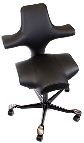 HAG Capisco Modell 8106 in Leder schwarz Bürostuhl