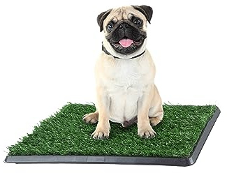Artificial Grass Puppy Pad with Tray 16x20 inch | Reusable Indoor & Outdoor Dog Potty Training Mat System | Washable Fake Grass Pet Housebreaking Pad for Puppies & Small to Medium Dogs by PETMAKER