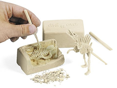 cama24com Dino Dinosaurier Entdecker Archäologen Set 12 Stück Knochen Ausgrabungsset Palandi®