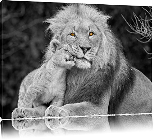 Pixxprint schöner Löwe mit Jungtier B&W, Größe: 100x70cm, Leinwandbild, fertig gespannt, Wandbild, Dekoration, Kunstdruck, kein Poster