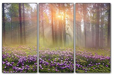 Leinwandbild Krokus im Wald Lavendel - Fabend. Wandbild auf Keilrahmen. Beste Qualität aus Deutschland! Handgefertigt! 3x40x80cm