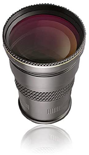 Raynox DCR 2025 Pro - Teleobjetivo de Alta definición (se Incluyen 4 Anillos adaptadores, 2,2 aumentos)