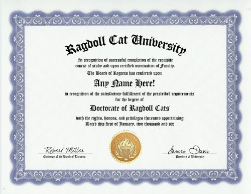 Ragdoll Cat Degree: Custom Gag Diploma Doctorate Certificate (Funny Customized Joke Gift - Novelty Item)