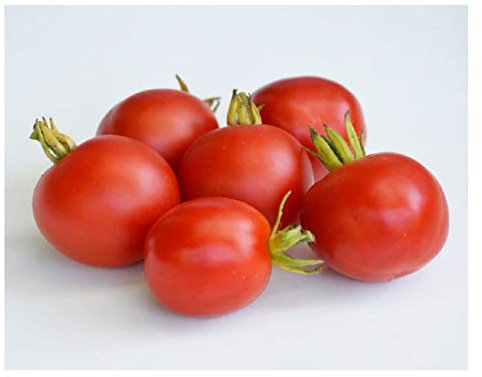 PREMIER SEEDS DIRECT Tomato - Outdoor Girl - 60 Finest Seeds - Early Maturing