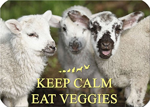 +++ Schafe Lamm - Schneidebrett Dekoglas Glas Dekoteller Brett - GO Vegan 07