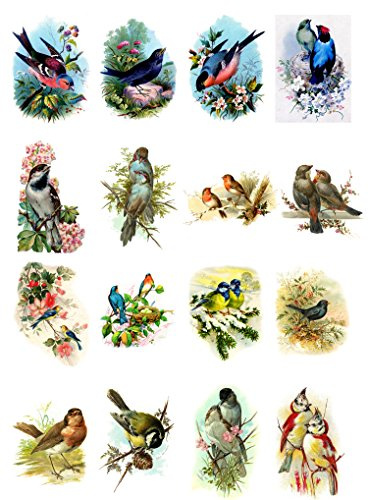 Decoupage Paper Pack (20 Sheets 10x15cm) Beautiful Birds FLONZ Vintage Paper
