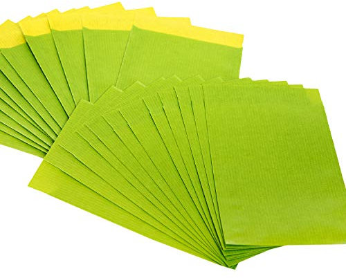 Logbuch-Verlag 100 kleine grüne Papiertüten flache Papierbeutel grün hellgrün 13 x 18 cm Papier Umschlag Flachbeutel Verpackung
