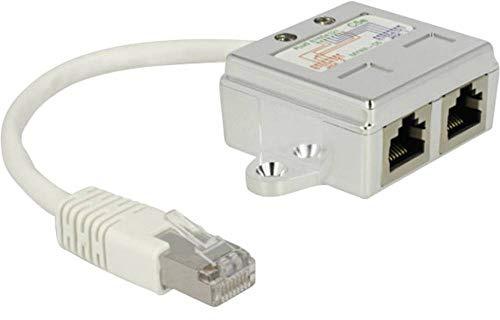 DeLOCK Network Adaptor RJ45 Port Doppler 1 x ST -> 2X
