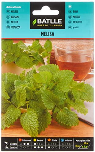 Semi di erbe di Batlle - Melissa (Seeds - 60cm)