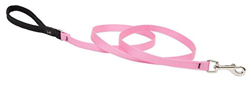 LupinePet Basics 1/2 Pink 4-foot Padded Handle Leash for Small Pets