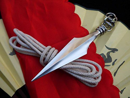 Rope Dart/Sheng biao/Chinese Wushu Taichi Equipment/Stainless Steel Material