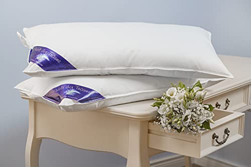 Welt der Träume Kissen 40X80 Kopfkissen DAUNEN Federn 100% Natur Pur Dekokissen Füllung 750 Gr.