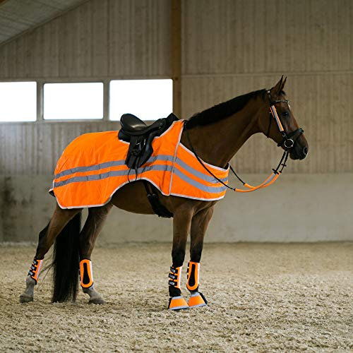 HORZE Ausreitdecke für Pferde, Reflektierend, Orange, 165 cm, Polyester, Wasserfest, Klettverschluss