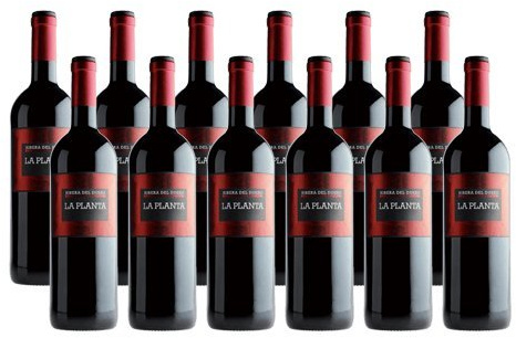 La Planta de Arzuaga Tinta Fina - Vino Tinto - 12 Botellas