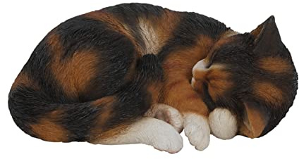 Vivid Arts Real Life Schlafende Katze Tortoiseshell XRL-ZC32-B