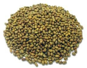 Türkische Kichererbsen (Gram/Moth Beans) im Ganzen - 1 kg