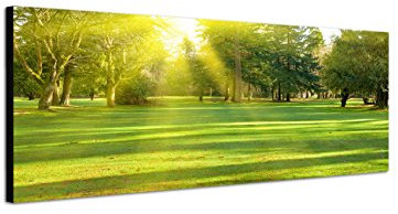Augenblicke Wandbilder Keilrahmenbild Wandbild 150x50cm Wiese Bäume Wald Sonnenstrahlen Frühling