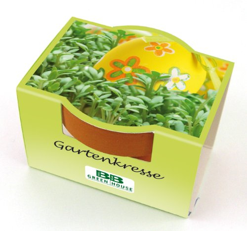 Bull & Bear Mini Pflanzset Gartenkresse Kresse Samen Set mit Tontöpfchen mit Kressesamen und Pflanzsubstrat