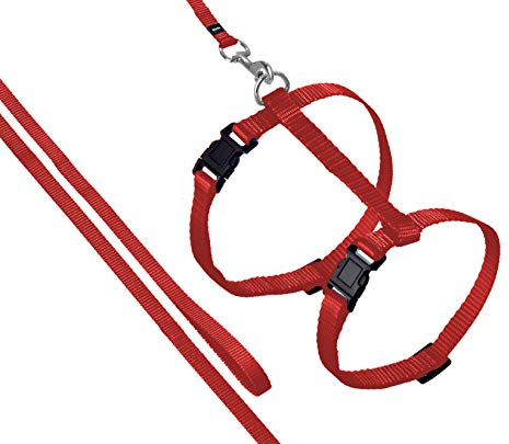 Flamingo ARNÉS para Gatos + Correa ZIGGI Rojo 20-35CM 10M