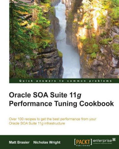 Oracle SOA Suite 11g Performance Tuning Cookbook (English Edition)