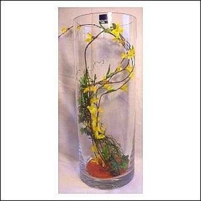 Leonardo Glas vase 40